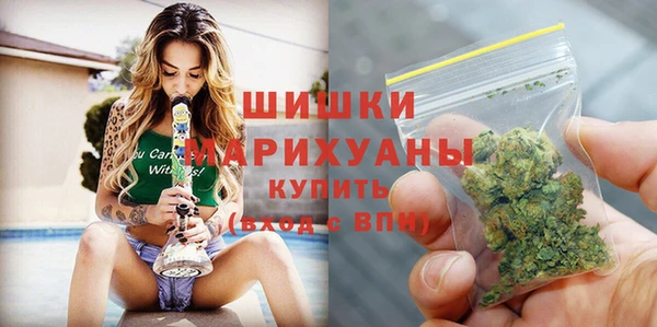 гидропоника Бородино