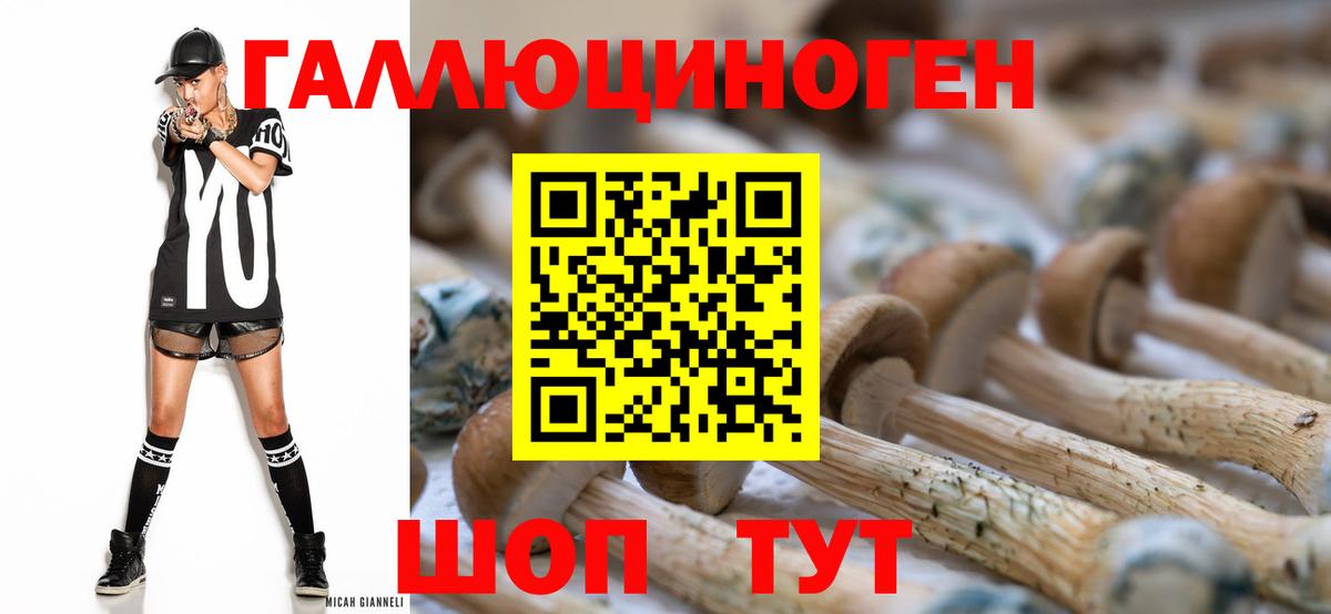 Псилоцибиновые грибы Cubensis Верхняя Салда