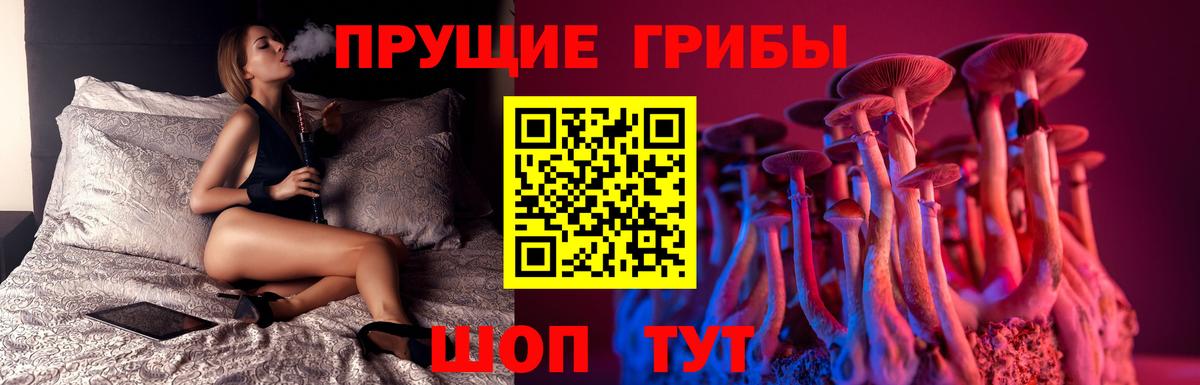 Верхняя Салда  Галлюциногенные грибы GOLDEN TEACHER  Вход с VPN 